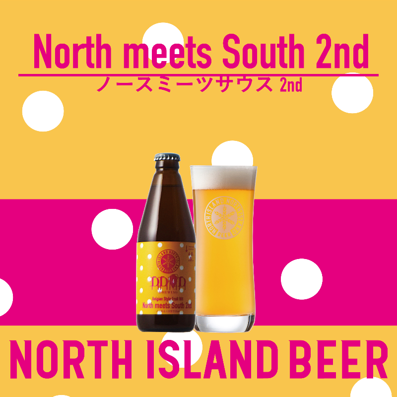 限定ビール　ノースミーツサウスセカンド 3本