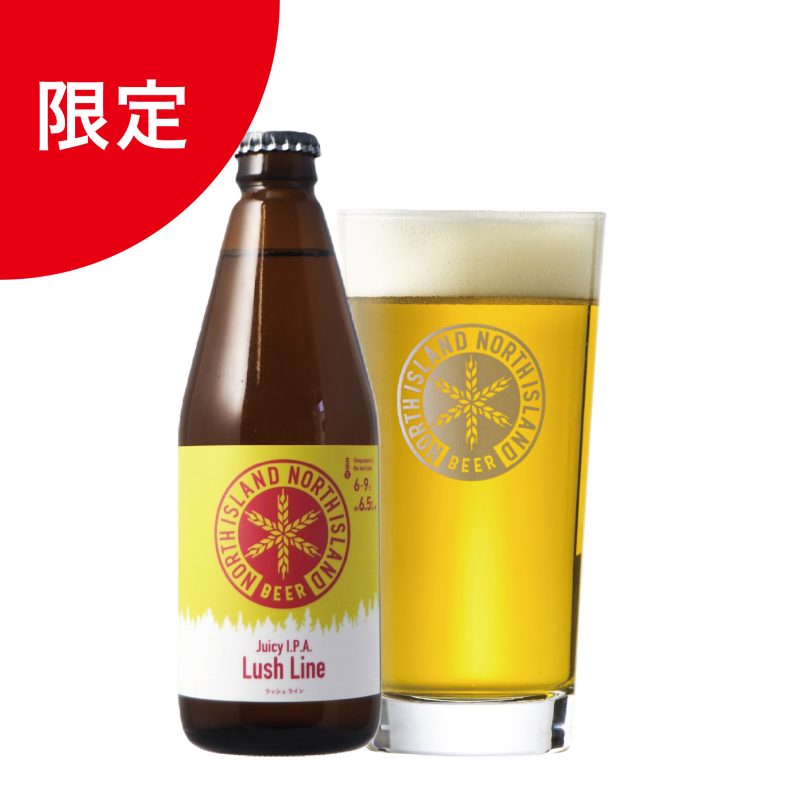 【選べる】限定ビール付　飲み比べ24本セット